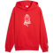 PUMA ÖFB Österreich ftblCulture Relaxed Hoodie Herren