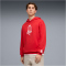 PUMA ÖFB Österreich ftblCulture Relaxed Hoodie Herren