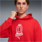 PUMA ÖFB Österreich ftblCulture Relaxed Hoodie Herren