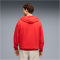 PUMA ÖFB Österreich ftblCulture Relaxed Hoodie Herren