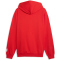 PUMA ÖFB Österreich ftblCulture Relaxed Hoodie Herren