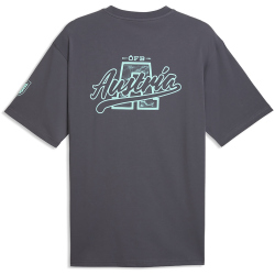PUMA ÖFB Österreich ftblCulture Relaxed T-Shirt Herren