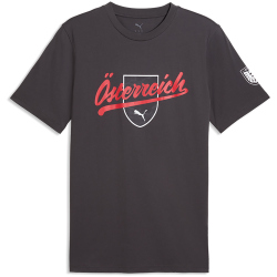 PUMA ÖFB Österreich FtblCulture T-Shirt Herren