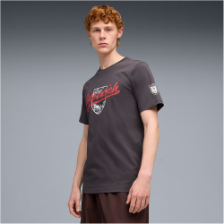 PUMA ÖFB Österreich FtblCulture T-Shirt Herren