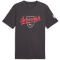 PUMA ÖFB Österreich FtblCulture T-Shirt Herren