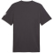 PUMA ÖFB Österreich FtblCulture T-Shirt Herren