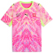 PUMA SFV Schweiz Concept Match Torwarttrikot 2026 Herren