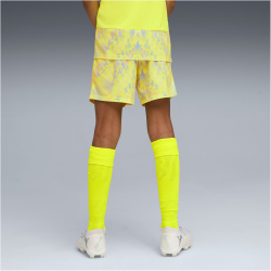 PUMA SFV Schweiz Torwartshorts 2026 Kinder