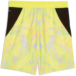 PUMA SFV Schweiz Torwartshorts 2026 Kinder