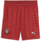 PUMA FPF Portugal Shorts 2026 Kinder