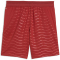 PUMA FPF Portugal Shorts 2026 Kinder