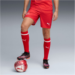 PUMA SFV Schweiz Shorts 2026 Herren