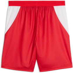 PUMA SFV Schweiz Shorts 2026 Herren