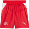 PUMA SFV Schweiz Shorts 2026 Herren