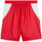 PUMA SFV Schweiz Shorts 2026 Herren