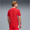 PUMA SFV Schweiz Authentic Heimtrikot 2026 Herren