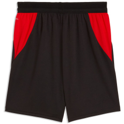 PUMA ÖFB Österreich Shorts 2026 Kinder