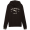 PUMA Class Graphic French Terry Hoodie Herren