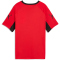 PUMA IndividualLIGA Graphic Fußballtrikot Kinder