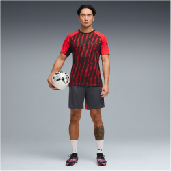 PUMA IndividualLIGA Graphic Fußballtrikot Herren