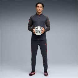 PUMA IndividualLIGA Trainingsanzug Herren