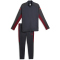PUMA IndividualLIGA Trainingsanzug Herren