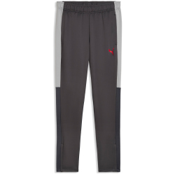 PUMA IndividualLIGA Trainingshose Herren