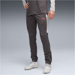 PUMA IndividualLIGA Trainingshose Herren