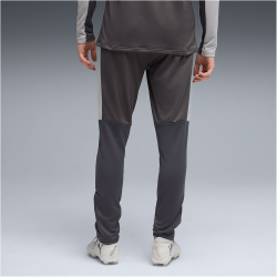 PUMA IndividualLIGA Trainingshose Herren