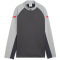PUMA IndividualLIGA 1/4-Zip Trainings-Top Kinder