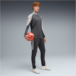 PUMA IndividualLIGA 1/4-Zip Trainings-Top Herren