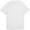 PUMA PWRtrain Triblend Trainingsshirt Herren