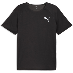 PUMA Lightspeed Laufshirt Herren