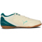 PUMA Truco IV Hallen-Fußballschuhe Kinder