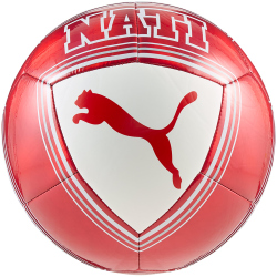 PUMA SFV Schweiz Culture Fußball Freizeitball