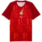 PUMA Ghana Aufwärmshirt 2026 Herren 06 - dark crimson/puma red M
