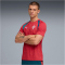 PUMA Portugal Trainingsshirt 2026 Herren 16 - club red/silver mist S