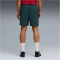 PUMA FRMF Marokko Pumatech Relaxed Woven Shorts Herren 13 - green terrain/victory gold M