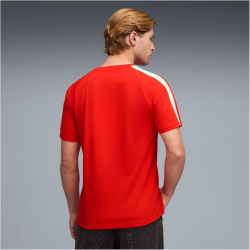 PUMA SFV Schweiz King T-Shirt Herren 05 - PUMA red/green...