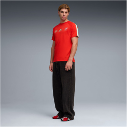 PUMA SFV Schweiz King T-Shirt Herren 05 - PUMA red/green...