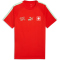 PUMA SFV Schweiz King T-Shirt Herren 05 - PUMA red/green glimmer XS