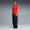 PUMA SFV Schweiz King T-Shirt Herren 05 - PUMA red/green glimmer XS