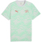 PUMA SFV Schweiz FtblCulture Allover Print T-Shirt Herren 19 - sea glass/puma red S