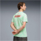 PUMA SFV Schweiz FtblCulture Allover Print T-Shirt Herren 19 - sea glass/puma red S