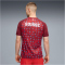 PUMA SFV Schweiz Aufwärmshirt 2026 Herren 06 - team regal red/puma white S