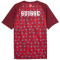 PUMA SFV Schweiz Aufwärmshirt 2026 Herren 06 - team regal red/puma white S