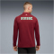 PUMA SFV Schweiz 1/4-Zip Trainings-Top 2026 Herren 09 - team regal red/green glimmer S