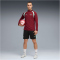 PUMA SFV Schweiz 1/4-Zip Trainings-Top 2026 Herren 09 - team regal red/green glimmer S