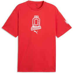 PUMA ÖFB Österreich ftblCulture Relaxed T-Shirt...