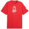 PUMA ÖFB Österreich ftblCulture Relaxed T-Shirt Herren 20 - burnt red/puma white S